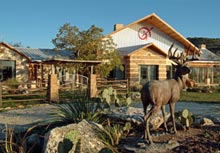 Texas exotic game hunting